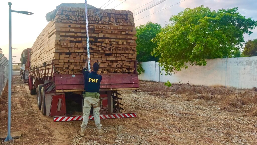 OPERAÇÃO NO SUL DO MARANHÃO INTERCEPTA CAMINHÕES COM 98 M³ DE MADEIRA ILEGAL