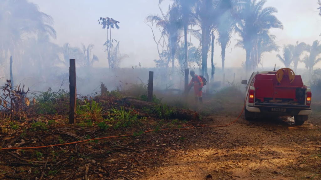 DOIS HOMENS SÃO PRESOS POR CRIME AMBIENTAL