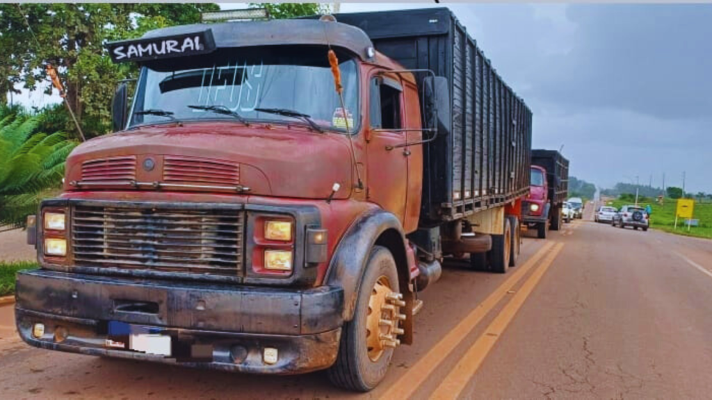Transporte irregular de animais são interceptados no Maranhão