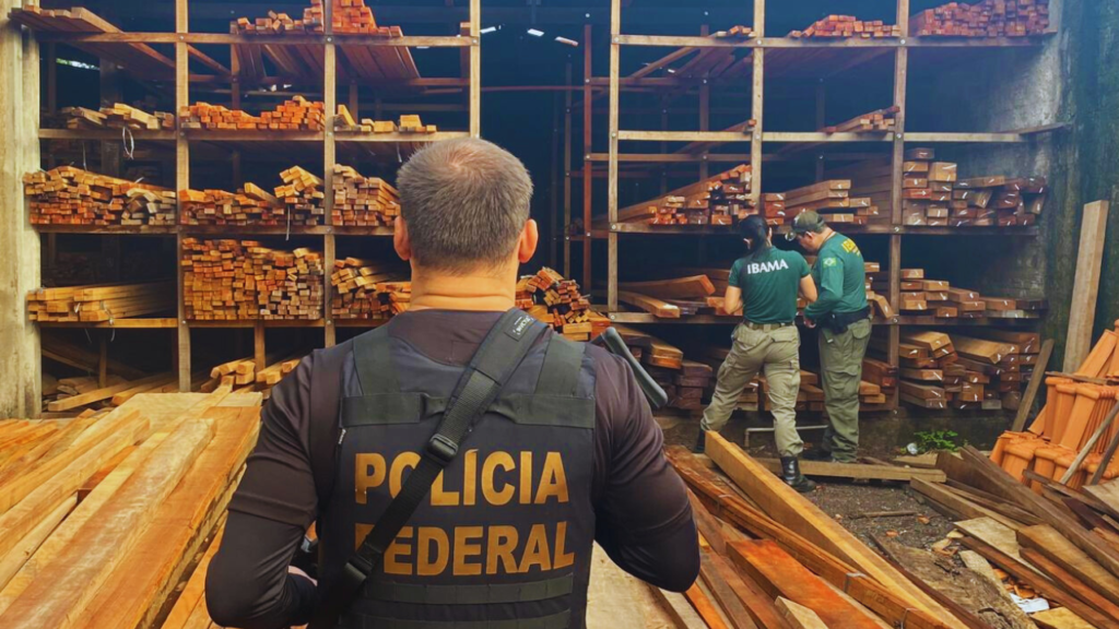 Golpe da Madeira: Operação expõe esquema de extração ilegal no Maranhão
