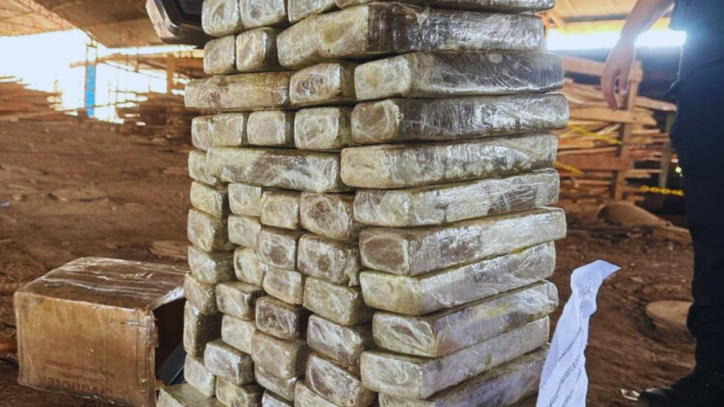 Ação em Imperatriz destrói 700 kg de drogas