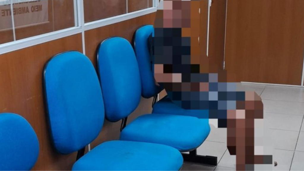 Homem é preso após espancar cão com panela de pressão