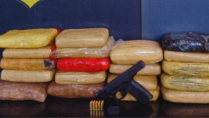 Polícia apreende 19 quilos de skunk, arma e munições em Slz