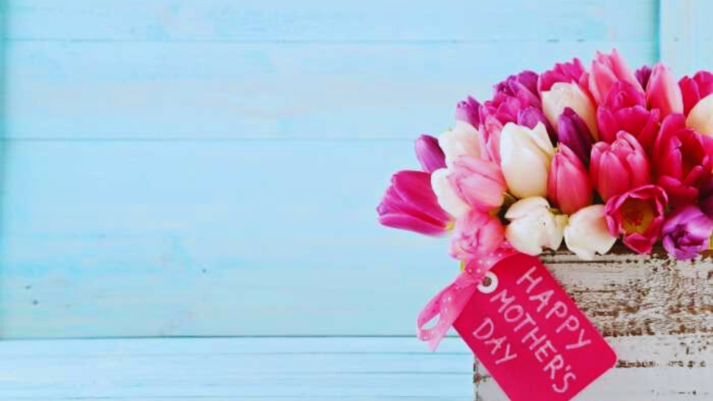 Dia das Mães: flores chegam a custar quase 4 vezes mais em São Luís