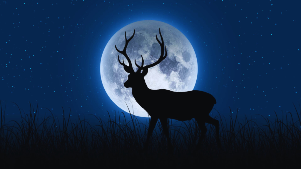 Espetáculo raro: “Lua do Veado” brilha no céu do Brasil nesta quinta (10)