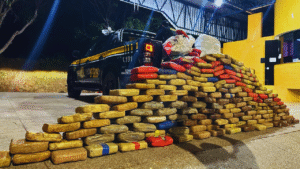 PRF apreende mais de 420 kg de skunk em caminhão no Maranhão