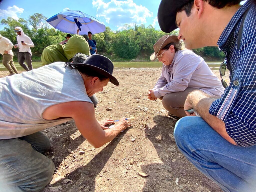 Descoberta de dinossauro em Coroatá pode projetar Maranhão no cenário científico internacional