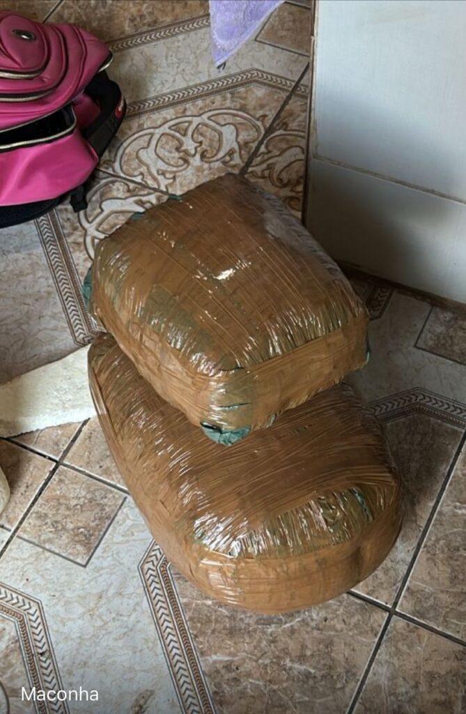 PF desarticula esquema de cultivo de maconha em Terra Indígena no Maranhão