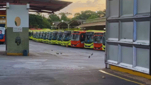 Justiça do Trabalho define limites de atuação na crise do transporte público em São Luís