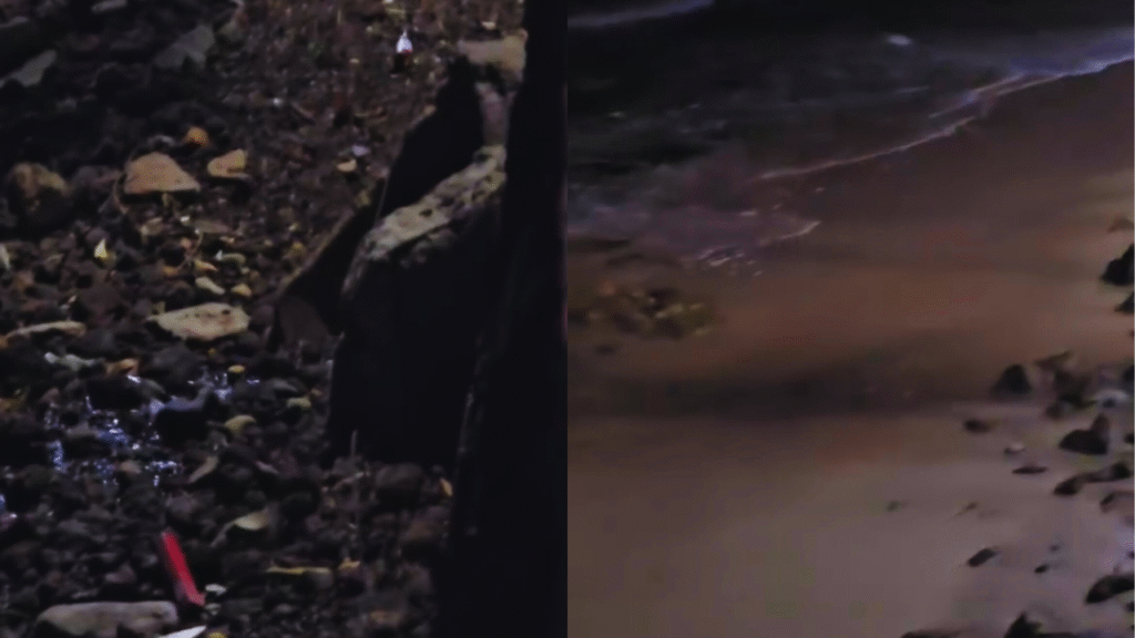 Morador registra esgoto clandestino sendo lançado na praia da Ponta D’Areia