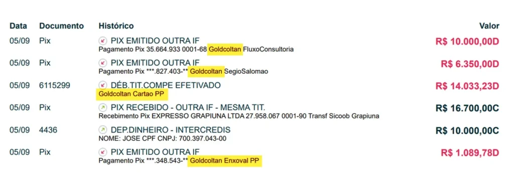 Suposto desvio de verbas no Grupo Rei de França teria beneficiado mineradora durante crise no transporte