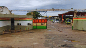 Suposto desvio de verbas no Grupo Rei de França teria beneficiado mineradora durante crise no transporte